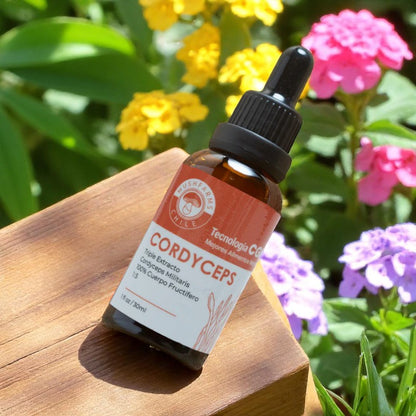 Triple Extracto Cordyceps Militaris