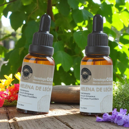 Triple Extracto Melena de León