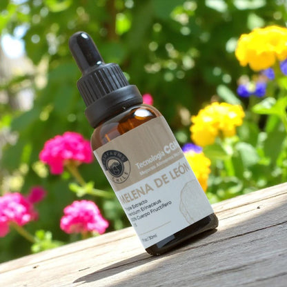 Triple Extracto Melena de León