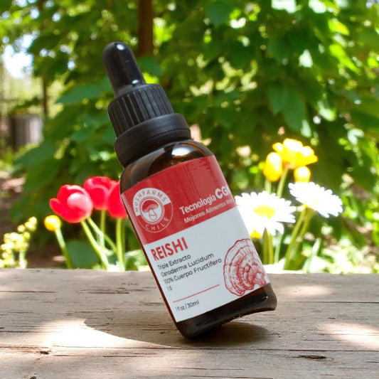 Triple Extracto Reishi